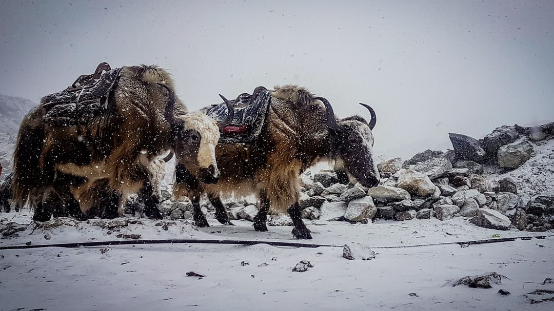 Jiri to Everest base camp